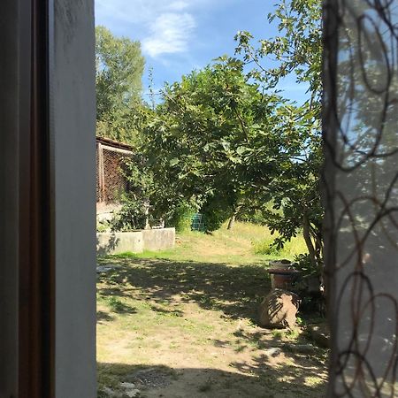 Palu Vacanze: L'Intimita Aosta Pokoj fotografie